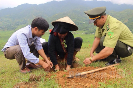 Cán bộ Trạm Kiểm lâm Bản Dõng hướng dẫn người dân kỹ thuật trồng rừng.